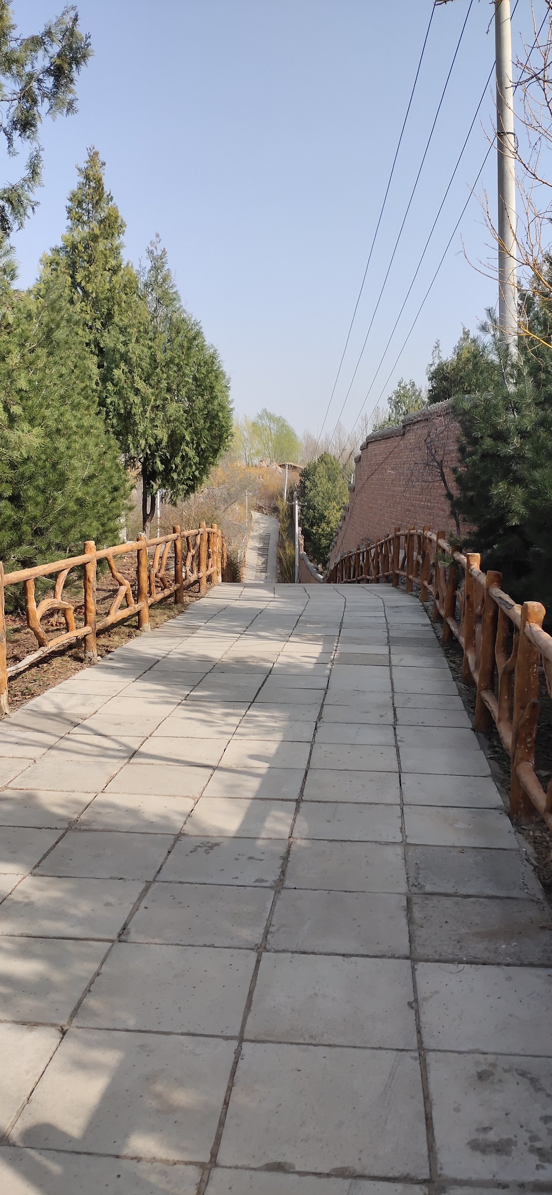 今天下午去了张郭庄休闲公园玩,那里风景真