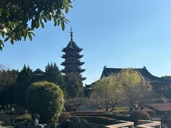 -苏州吴宫泛太平洋酒店