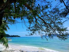 -东姑阿都拉曼海洋公园