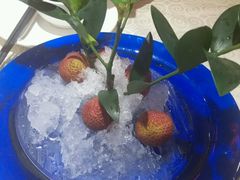 -四季小馆·地道北京小吃(广百店)