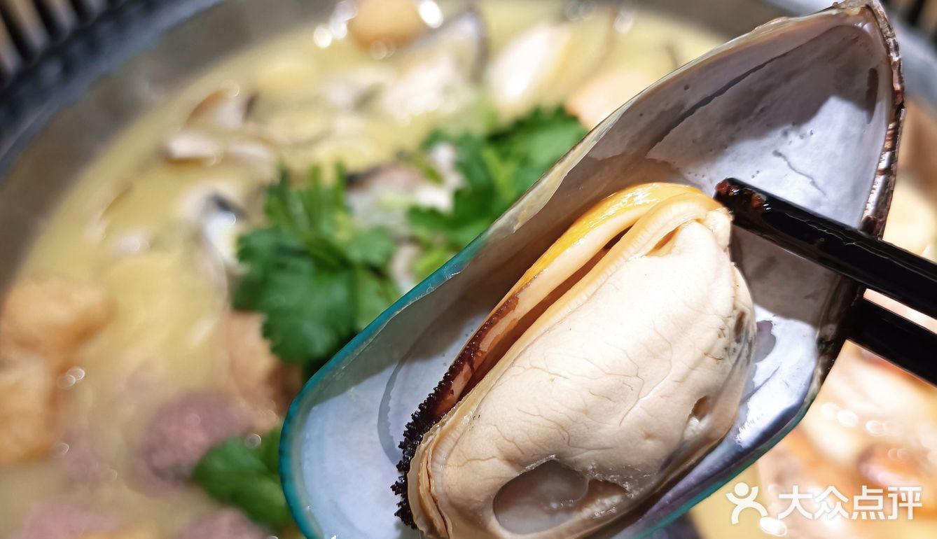 从广州过来海胆就为了这口火锅🍲