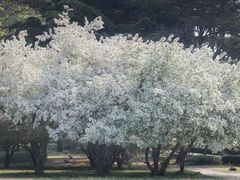-汇泉广场