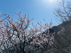 -北京凤凰岭