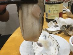 -蚝专家(北滘店)