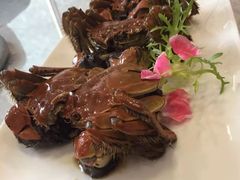 -新光酒家·河豚·海鲜·蟹料理(浦东店)