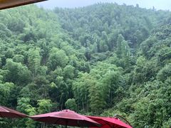 -将军关探险漂流