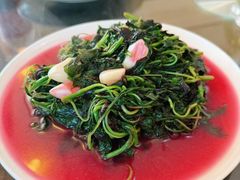 -山菜馆(竹海公园店)