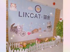 -lincat·猫舍(广州店)