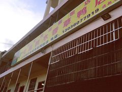 -霞姐屯昌枫木香草鸭店(海螺店)
