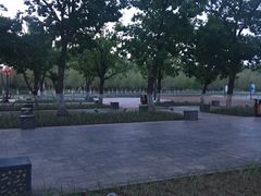 -五环公园