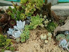 -天怡·鱼工厂(临江店)
