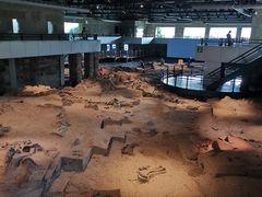 -自贡恐龙博物馆