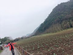 -贵阳市花溪国家城市湿地公园