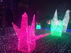 -飞凤山奥体公园