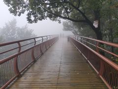 -少华山国家森林公园