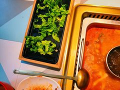 -雾都渣渣火锅(南城智汇城店)