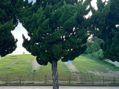 -小麦岛公园