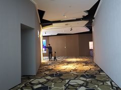 -星河寰宇IMAX影城(星河WORLD·COCO Park店)