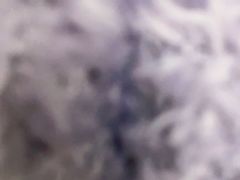 -戏作寿司(观音桥店)