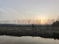 -合肥滨湖国家森林公园