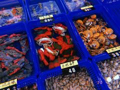 -七鲜渔港美食餐厅(巽寮湾海景店)