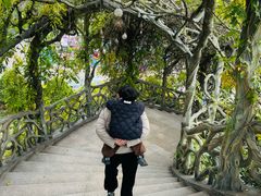 -苏州乐园森林水世界