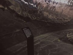 -张之洞与武汉博物馆
