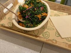 -油梨树 AVOCADO TREE(亮马桥店)