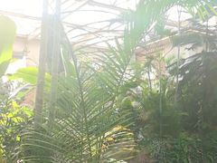 -忆江南·生态餐饮宴会酒店
