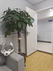 -成都军建医院·医疗整形