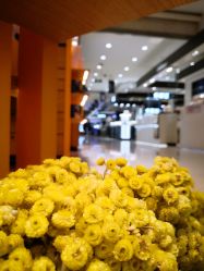 -L'OCCITANE欧舒丹