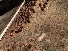 -元代水闸遗址博物馆