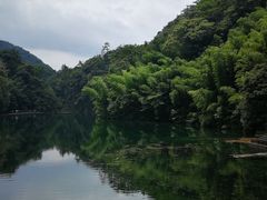 -祁门牯牛降观音堂风景区