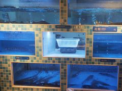 -大河宴椒麻鱼(嘉和园店)