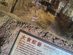 -长鹿旅游休博园