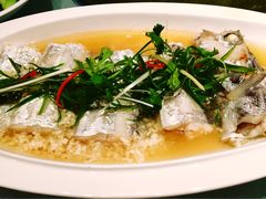 清蒸带鱼-贴阁碧(百丈东路店)