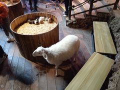 -正佳雨林生态植物园