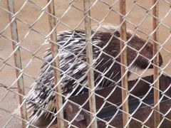 -哈尔滨北方森林动物园