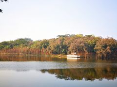 -三水森林公园