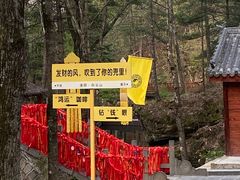 -洛阳白云山景区
