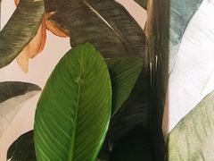 景观位-So Acai(天河店)