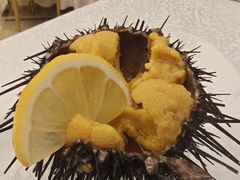 -品海楼·大连海胆锅贴馆(东港店)