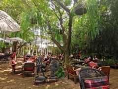 -Fern Forest Cafe