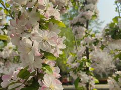 -元大都城垣遗址公园