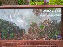 -银湖山郊野公园-相思林
