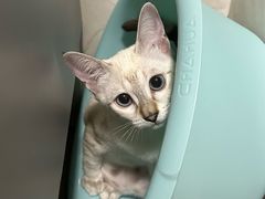 -嘉馨宠物医院·CT影像转诊·心脏科·犬猫全科诊疗中心(下沙大学城院区)