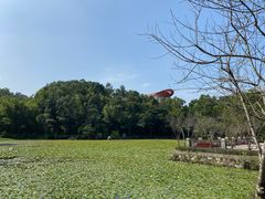 -大雁山风景区