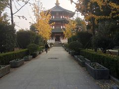 -枫桥夜泊