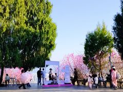 -天台山赤城山景区