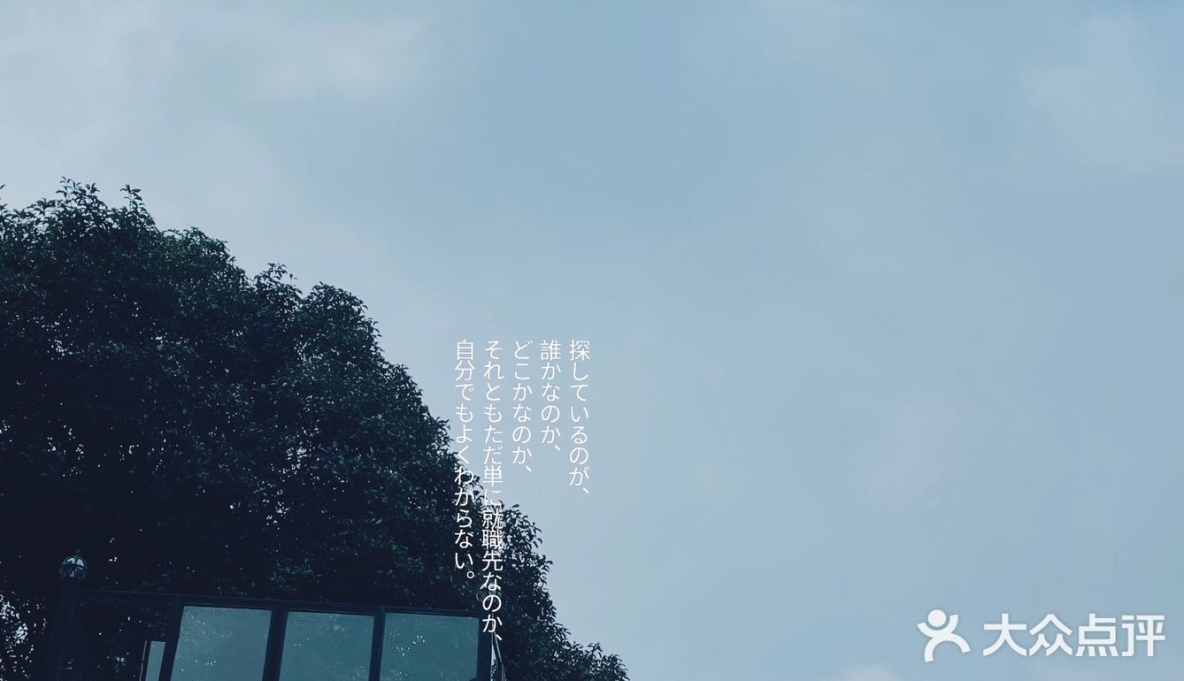 云径•天竹